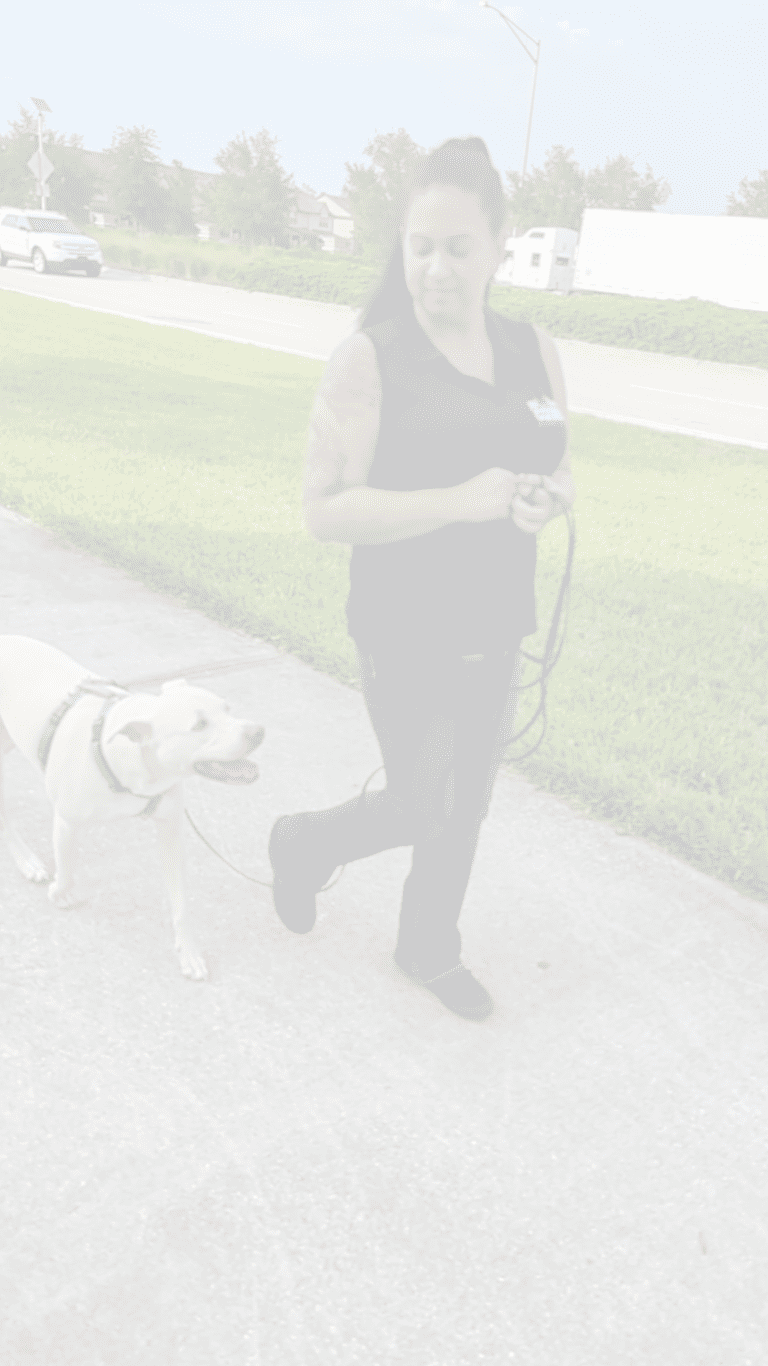 Amanda with her dog Applejack