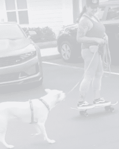 Amanda on a skateboard and her dog Applejack who is alight cream color medium sized dog running next to her