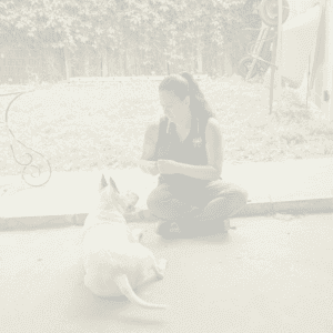 Amanda with brown hair in a pony tail is sitting on the cement floor in front of a bull terrier.