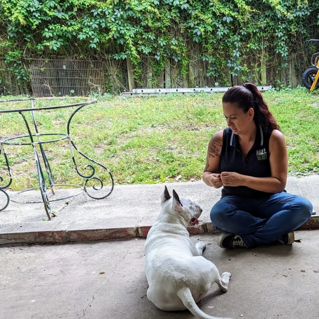 Amanda sitting on the ground in a black logoed collard shirt. She is cross legged and facing a bull terrier on a patio.