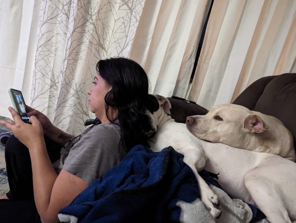 Sunny and Applejack laying behind Amanda as she analyzes a dog behavior video.